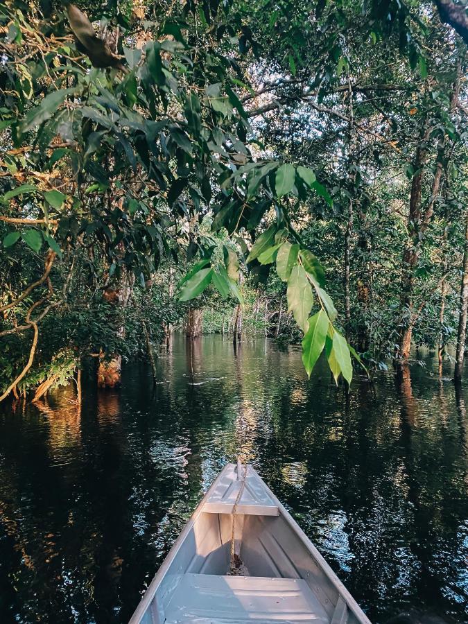 Amazon Arowana Lodge Careiro ภายนอก รูปภาพ