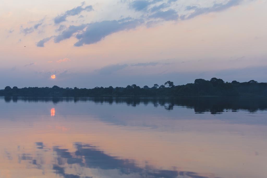 Amazon Arowana Lodge Careiro ภายนอก รูปภาพ