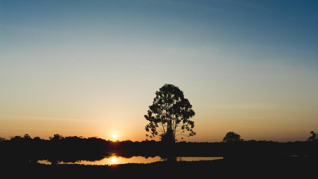 Amazon Arowana Lodge Careiro ภายนอก รูปภาพ