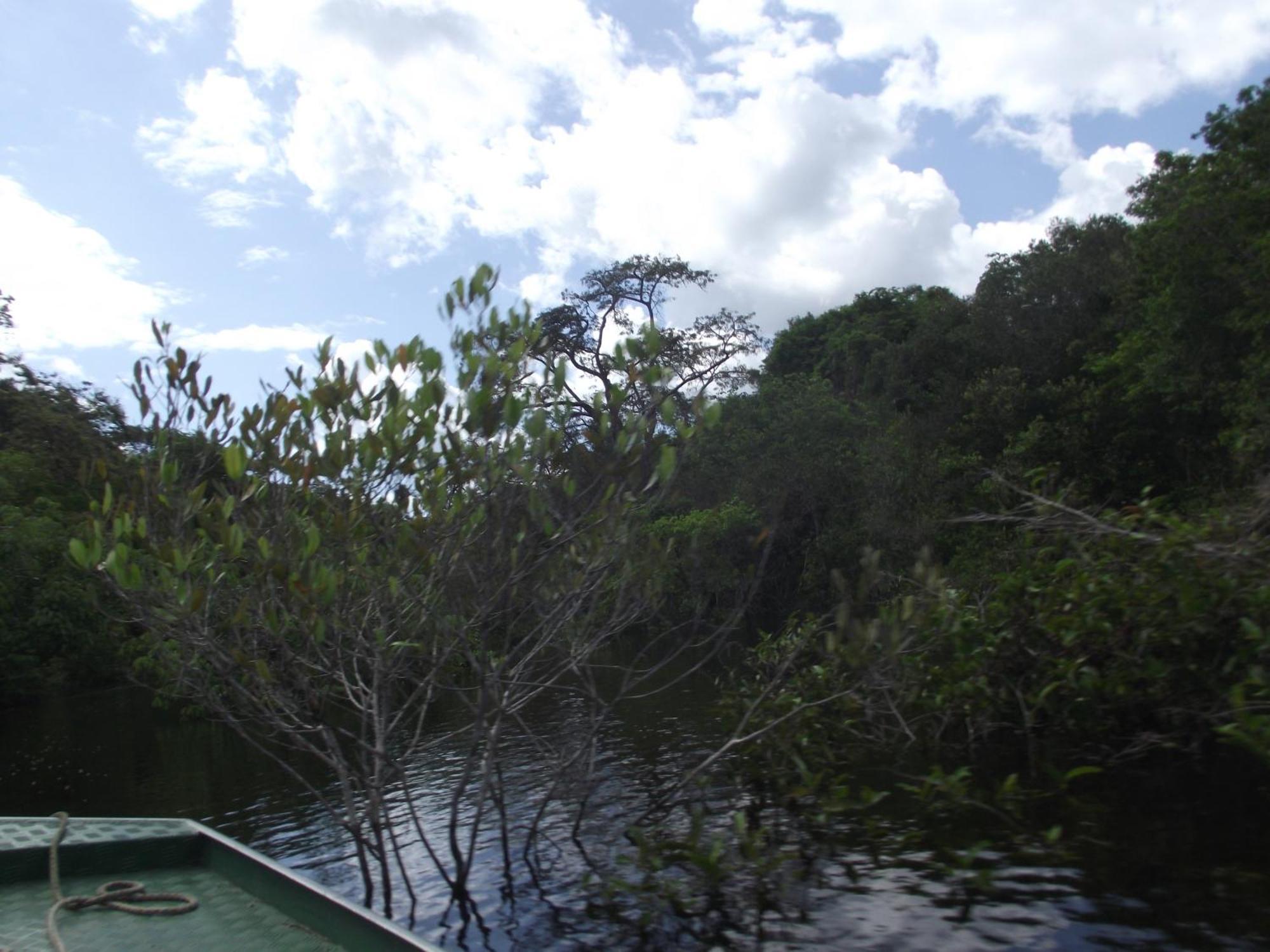 Amazon Arowana Lodge Careiro ภายนอก รูปภาพ