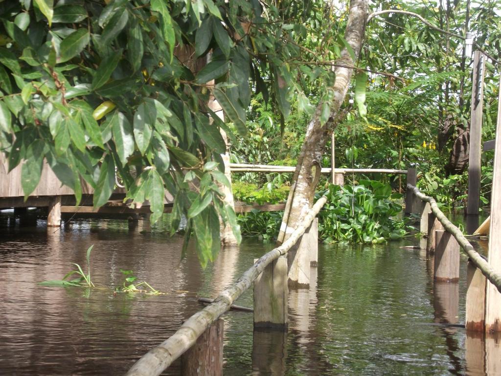 Amazon Arowana Lodge Careiro ภายนอก รูปภาพ